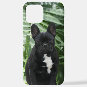 Black French Bulldog iPhone 12 Pro Max Case