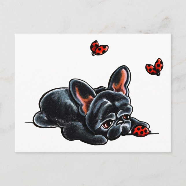 Black French Bulldog Ladybug Postcard (Front)