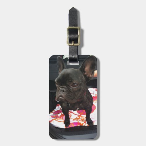 Black French Bulldog Luggage Tag