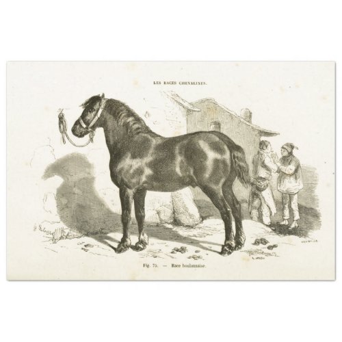 Black French Horse Ephemera Decoupage Vintage Tissue Paper