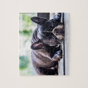 Black Frenchie Jigsaw Puzzle