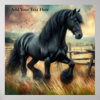 Black Fresian Horse Pasture Rustic Fence
