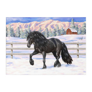 Black Friesian Draft Horse In Snow Acrylic Print