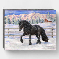 Black Friesian Draft Horse In Snow