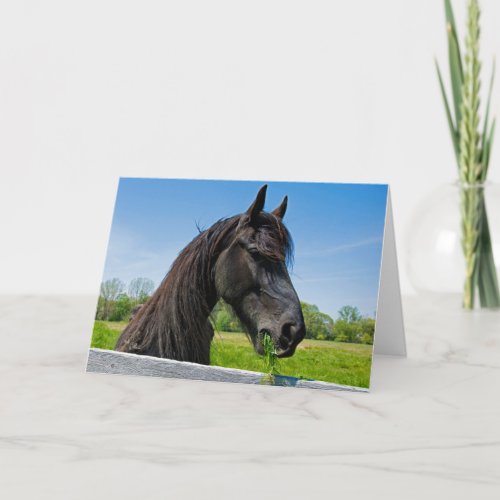 Black Friesian Horse Birthday Card