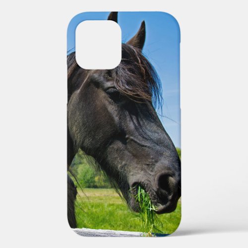 Black Friesian Horse iPhone 12 Case