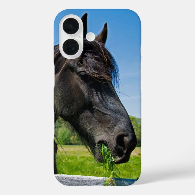 Black Friesian Horse Case-Mate iPhone Case (Back)