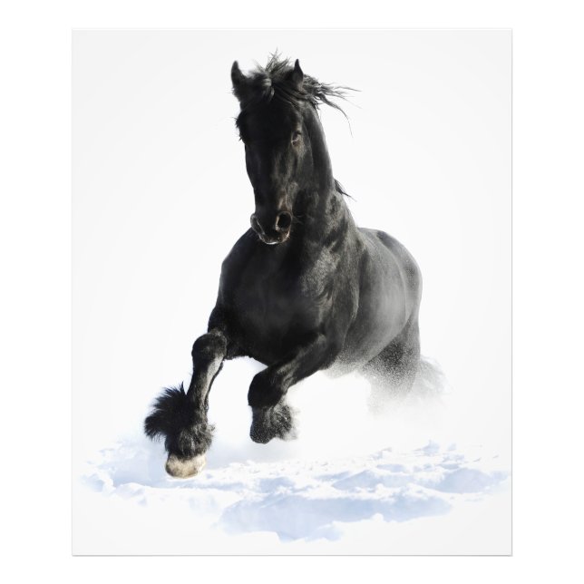 Black Friesian Horse In Snow Photo Print (Front)