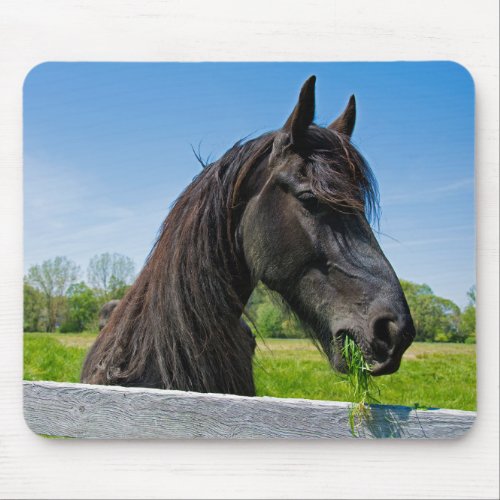 Black Friesian Horse Mouse Pad