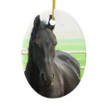 Black Friesian Horse Ornament