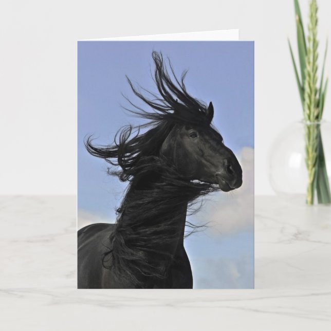 Black Friesian Horse Portrait Card (Front)