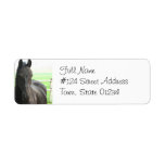 Black Friesian Horse Return Address Label