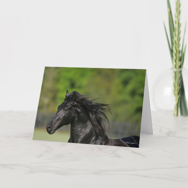 Black Friesian Horse Stallion Headshot Card (Front)