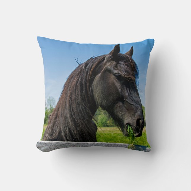 black Friesian horse Throw Pillow (Front)