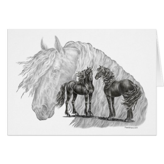 Black Friesian Horses Manes Tails (Front Horizontal)