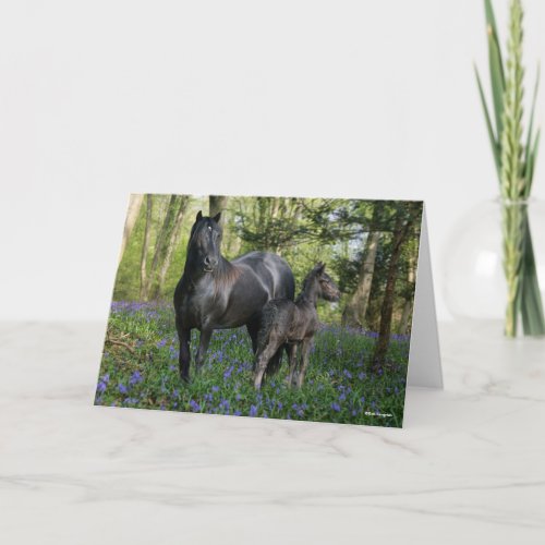 Black Friesian Mare and Foal In Bluebells Card