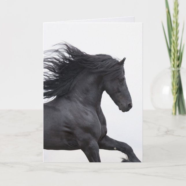 Black Friesian Runs Horse Greeting Card (Front)