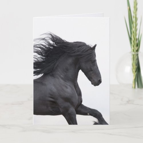 Black Friesian Runs Horse Greeting Card