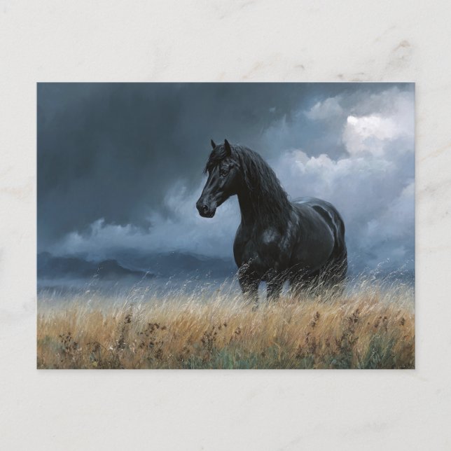 Black Friesian Stallion Dramatic Landscape Postcard (Front)