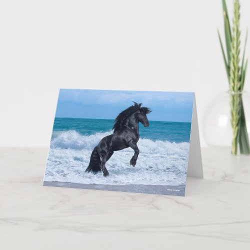 Black Friesian Stallion Rearing In the Sea Card