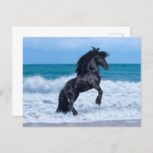 Black Friesian Stallion Rearing In the Sea Postcard
