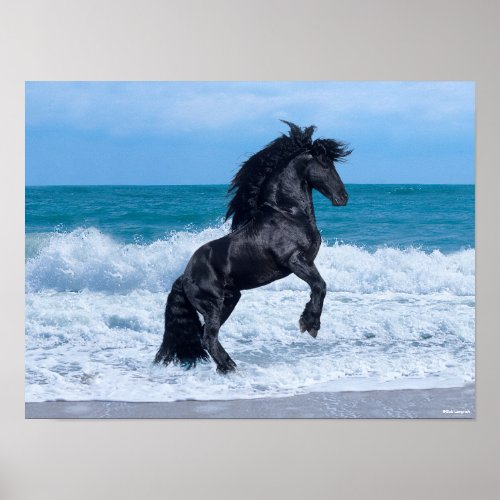 Black Friesian Stallion Rearing In the Sea Poster