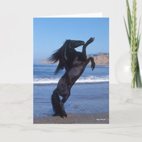 Black Friesian Stallion Rearing On Beach Card