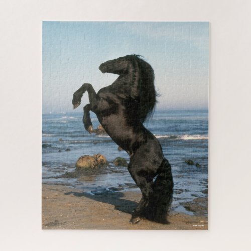 Black Friesian Stallion Rearing On Beach Jigsaw Puzzle