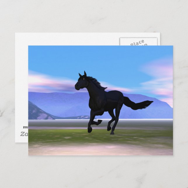 Black Galloping Horse Postcard (Front/Back)
