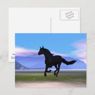 Black Galloping Horse Postcard