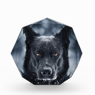 Black German Shepherd Acrylic Award