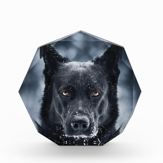 Black German Shepherd Acrylic Award (Front)