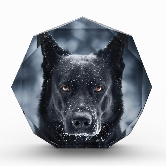 Black German Shepherd Acrylic Award (Front)