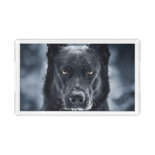 Black German Shepherd Acrylic Tray