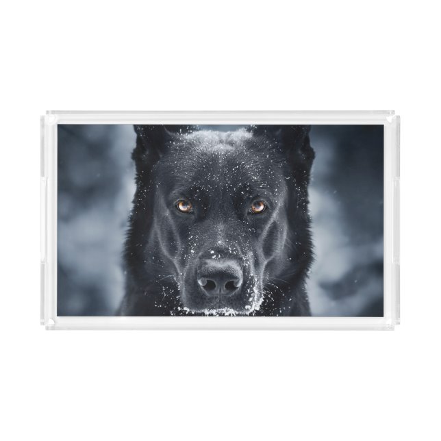 Black German Shepherd Acrylic Tray (Front)