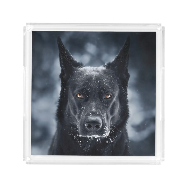 Black German Shepherd Acrylic Tray (Front)