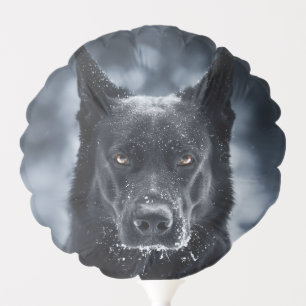 Black German Shepherd Balloon