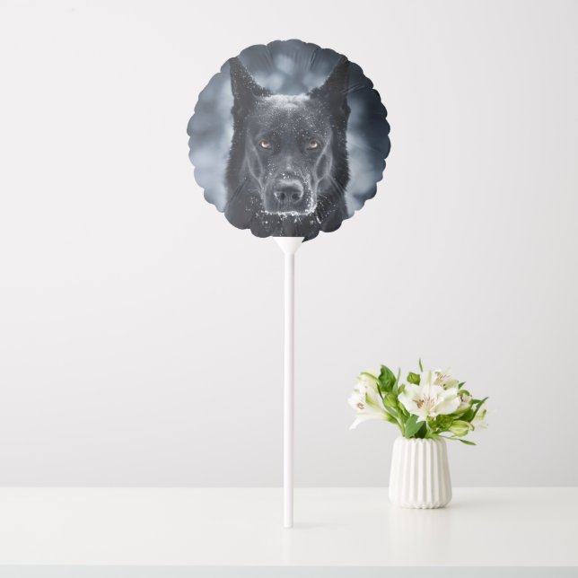 Black German Shepherd Balloon (In SItu)