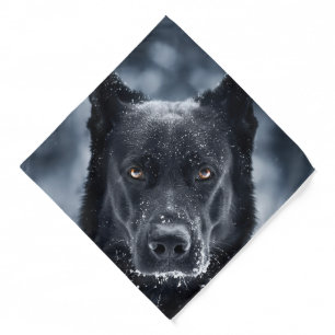 Black German Shepherd Bandana