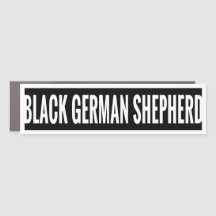 Black German Shepherd