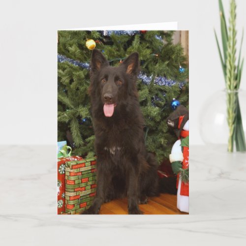 Black German Shepherd Christmas Card