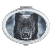 Stay Cool Dog Wearing Glasses Cap Back To School Compact Mirror