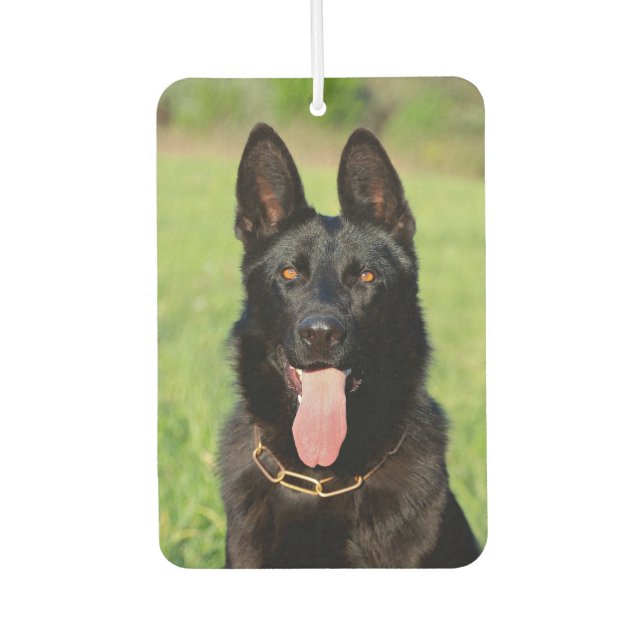 Black German Shepherd Dog - GSD Puppy Air Freshener (Front)
