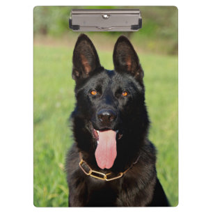 Black German Shepherd Dog - GSD Puppy Clipboard