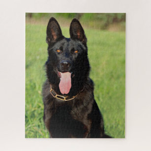 Black German Shepherd Night Jigsaw Puzzle