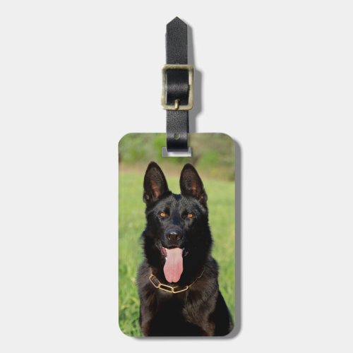 Black German Shepherd Dog _ GSD Puppy Luggage Tag