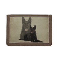 Black German Shepherd Dog - GSD