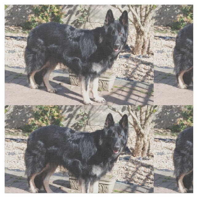 black german shepherd full.png fabric (Close Up)