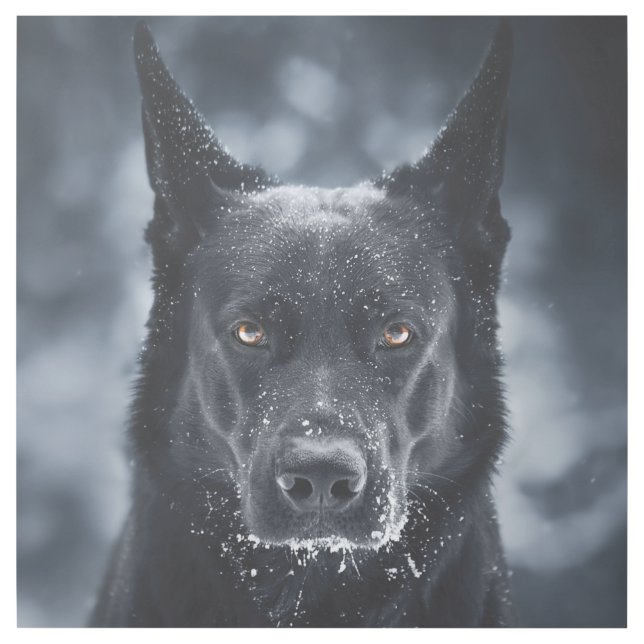 Black German Shepherd Gallery Wrap (Front)