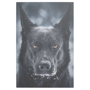 Black German Shepherd Gallery Wrap